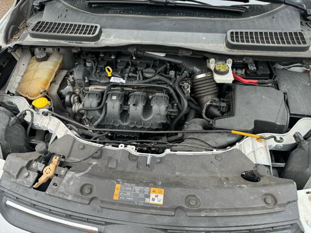 Used 2013 Ford Escape SE AWD/4WD image 24