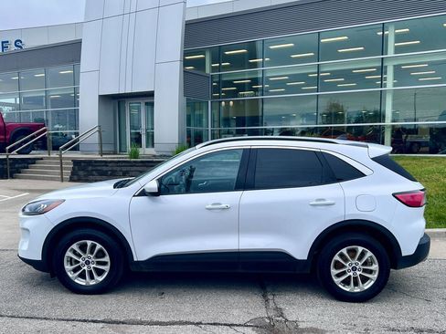 Used 2021 Ford Escape SE AWD/4WD image 3