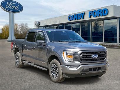 Used 2023 Ford F150 XLT w/ Equipment Group 302A High