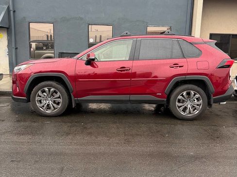 Used 2025 Toyota RAV4 XLE Premium image 2