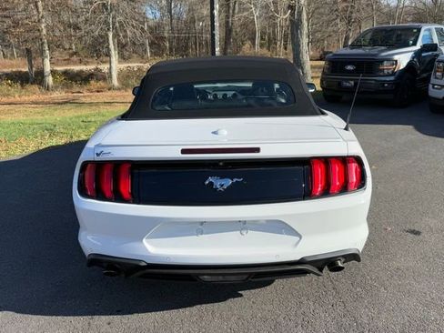 Certified 2021 Ford Mustang Premium image 14
