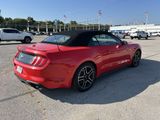 Used 2018 Ford Mustang Premium w/ Equipment Group 201A image 4