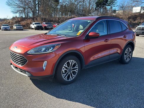 Used 2020 Ford Escape SEL image 1