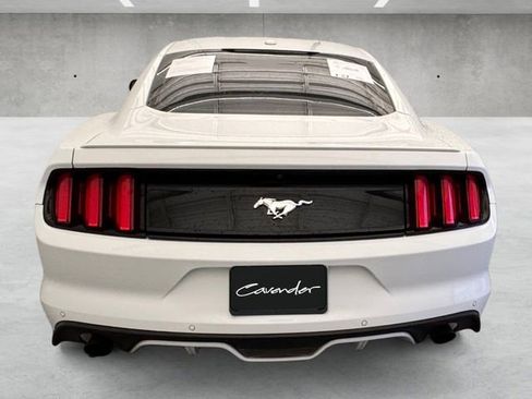 Used 2015 Ford Mustang Premium w/ Equipment Group 201A image 15