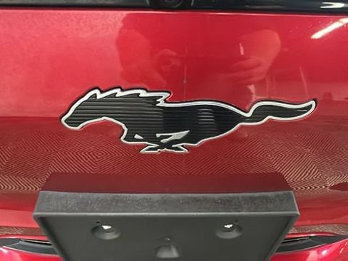 Used 2021 Ford Mustang Mach-E Premium AWD/4WD image 8