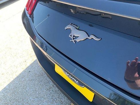 Used 2024 Ford Mustang Premium image 7