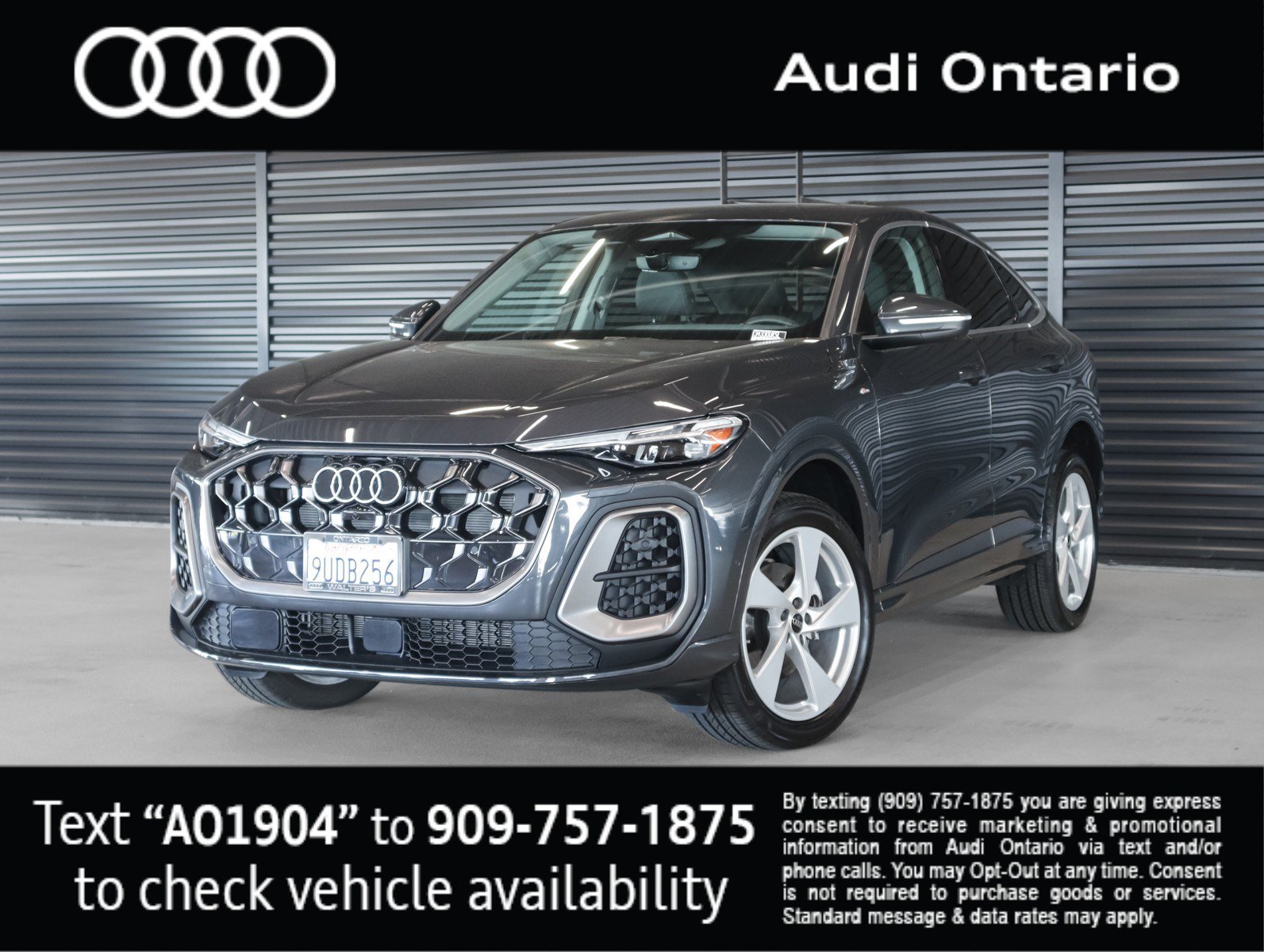 Used 2025 Audi Q5 Premium Plus w/ Premium Plus AWD/4WD image 1