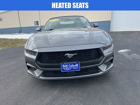Used 2025 Ford Mustang Premium w/ Wheel & Stripe Package image 9