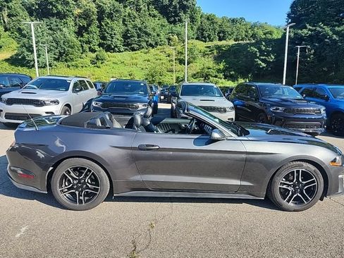 Used 2020 Ford Mustang Premium RWD image 5