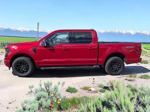 Certified 2024 Ford F150 XLT w/ Equipment Group 302A MID AWD/4WD image 3