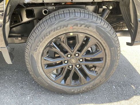 New 2025 Ford F150 XLT w/ Equipment Group 302A MID image 19