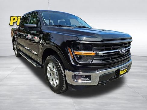 Used 2025 Ford F150 XLT w/ Equipment Group 301A Standard AWD/4WD image 8