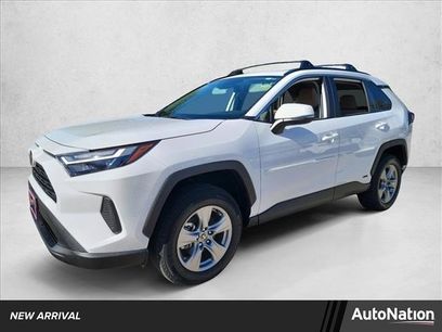 Used 2025 Toyota RAV4 XLE