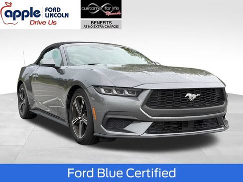 Used 2025 Ford Mustang Premium RWD image 1