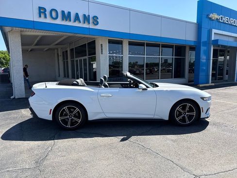 Used 2024 Ford Mustang Premium RWD image 2
