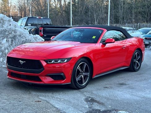 Used 2024 Ford Mustang Premium image 2