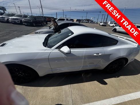 Used 2019 Ford Mustang Coupe w/ Ecoboost Performance Package image 5