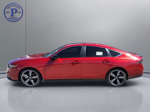 Used 2023 Honda Accord Sport image 4