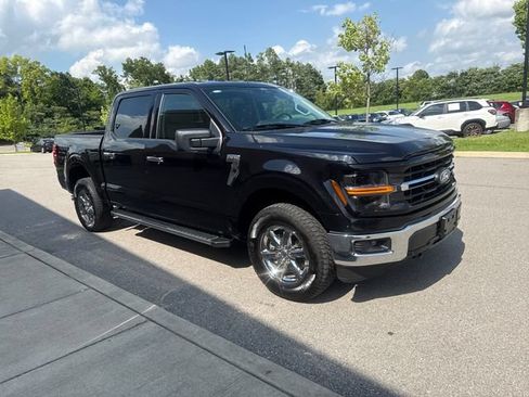 Used 2025 Ford F150 XLT w/ Equipment Group 301A Standard AWD/4WD image 6