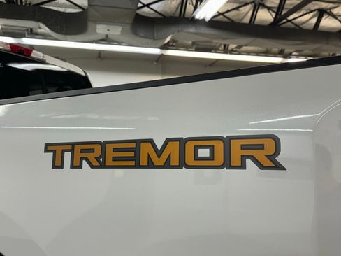 Used 2024 Ford F250 King Ranch w/ Tremor Off-Road Package image 10