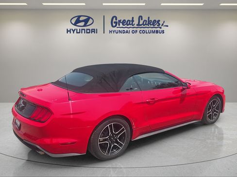 Used 2019 Ford Mustang Convertible RWD image 5