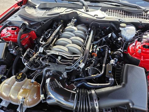 Used 2019 Ford Mustang GT w/ Equipment Group 301A image 10