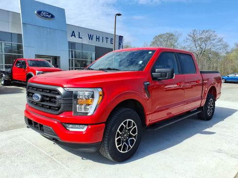 Used 2023 Ford F150 XLT w/ Equipment Group 302A High AWD/4WD image 1
