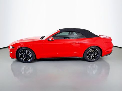 Used 2020 Ford Mustang Premium RWD image 6