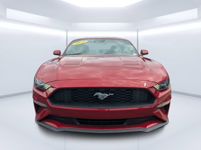 Used 2022 Ford Mustang Coupe w/ Equipment Group 101A RWD image 8