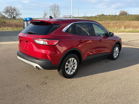 Used 2020 Ford Escape SE AWD/4WD image 5