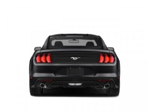 Used 2019 Ford Mustang Coupe w/ Equipment Group 101A image 5