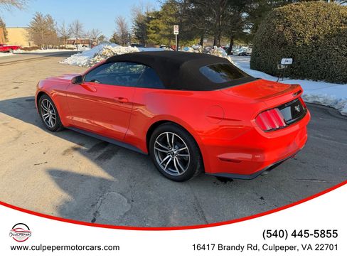 Used 2015 Ford Mustang Premium image 4