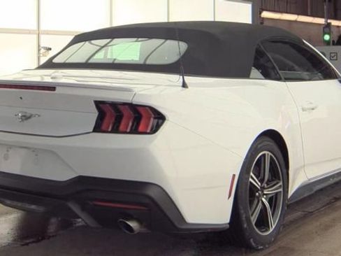 Used 2024 Ford Mustang Premium image 3