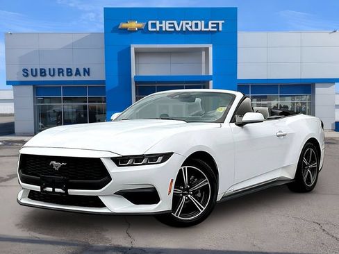 Used 2024 Ford Mustang Premium RWD image 1