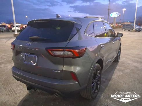 Used 2025 Ford Escape ST-Line Elite w/ Premium Technology Package image 6