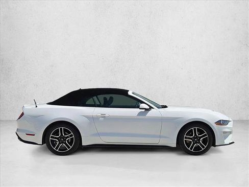 Used 2018 Ford Mustang Premium RWD image 4