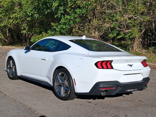 Used 2024 Ford Mustang Premium RWD image 3