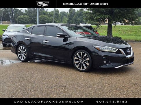 Used 2023 Nissan Maxima Platinum w/ Sport Mat Group FWD image 3
