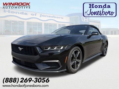 Used 2024 Ford Mustang Premium RWD image 1