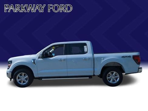 Used 2025 Ford F150 XLT w/ Equipment Group 301A Standard AWD/4WD image 2