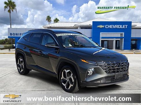 Used 2023 Hyundai Tucson Limited image 1