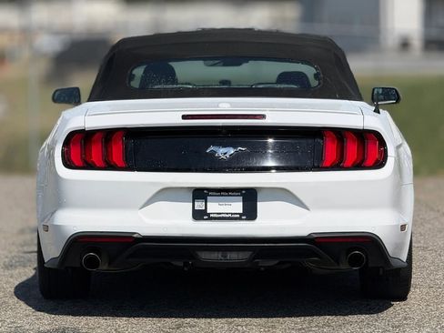 Used 2023 Ford Mustang Premium RWD image 4