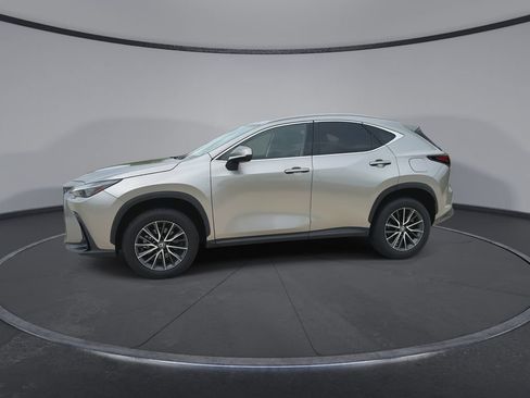 Used 2024 Lexus NX 350 AWD w/ Cold Area Package image 5
