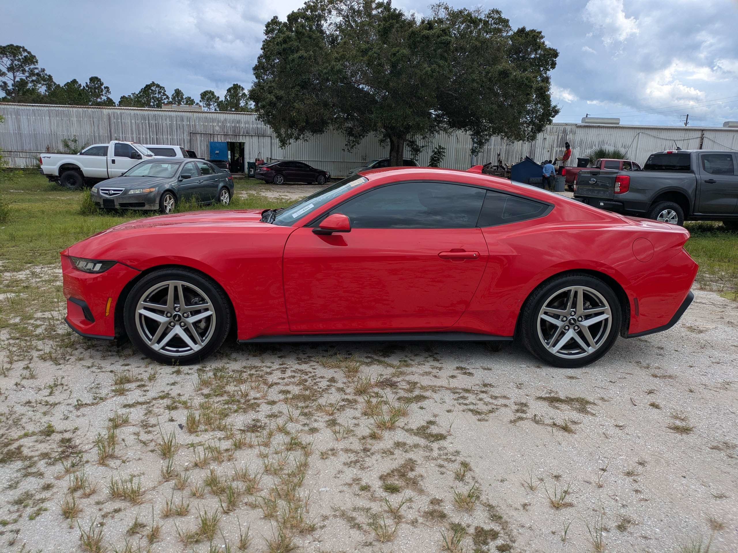Used 2024 Ford Mustang Premium RWD image 7
