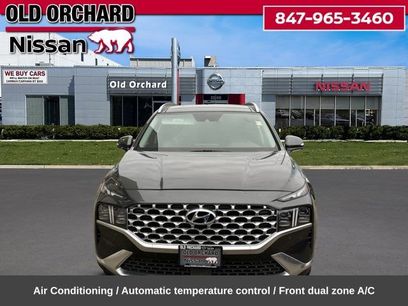 Used 2023 Hyundai Santa Fe Limited