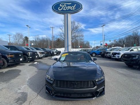 Certified 2026 Ford Mustang Premium w/ Mustang Nite Pony Package image 3