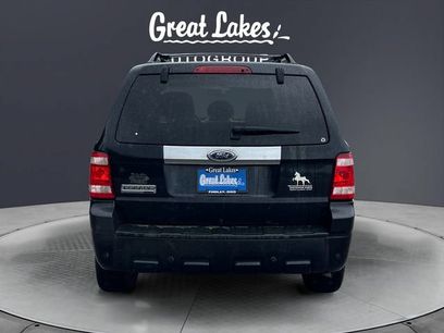 Used 2009 Ford Escape Limited