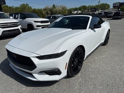 Used 2026 Ford Mustang Convertible w/ Mustang Nite Pony Package
