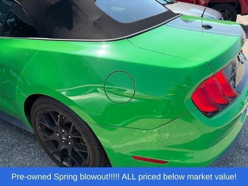 Used 2019 Ford Mustang Premium w/ Ecoboost Performance Package RWD image 4