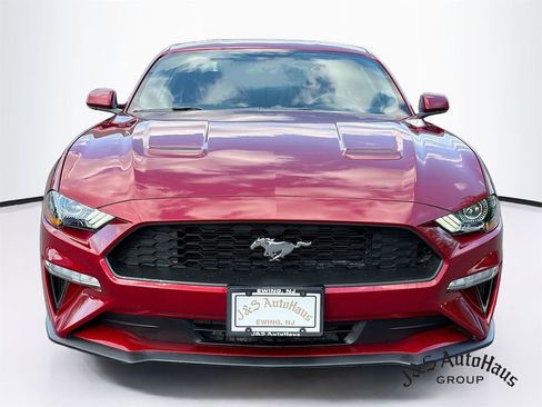 Used 2019 Ford Mustang Coupe RWD image 2